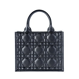 Borsa in Affitto Piccola Dior Book Tote